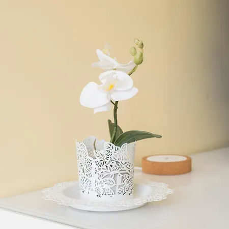 Rh Charming Liberdade Ii Apartment